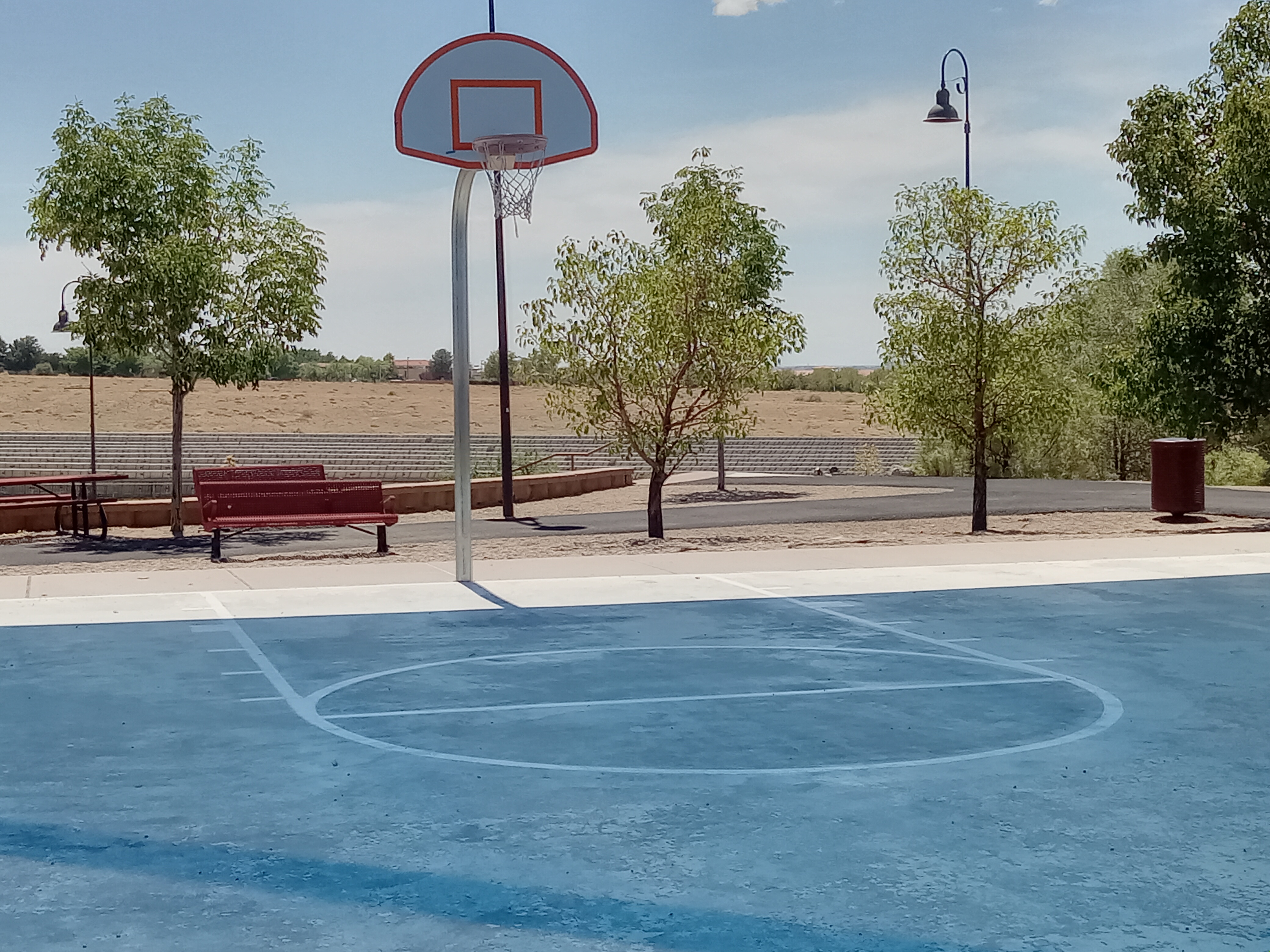 Multi-sport court surface